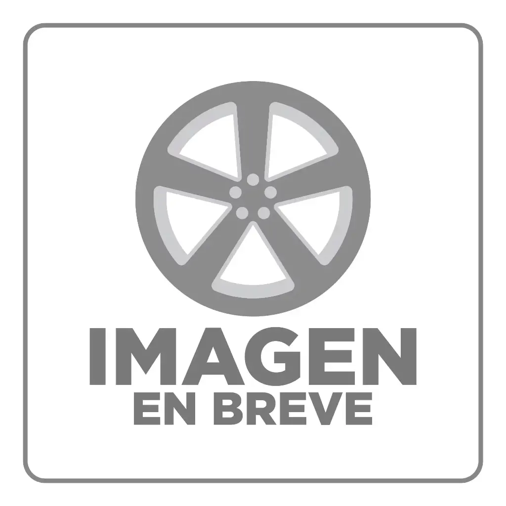 [202128] RIN 20X10 5-114/127 R1 SPORT 1634 BLACK+INSERT CHROME ET-12 CB83.6